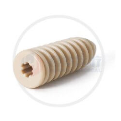 Torx Screw Detail Image